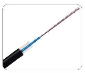 DNP010510