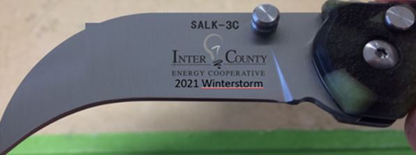 SALK1IC